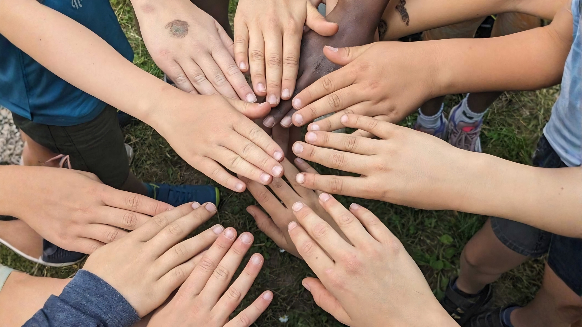 Projekttag «zemma wachsa» | Mit Bezug zum Liechtensteiner Lehrplan LiLe | 5. Klasse der Primarschule, Sekundarstufe I + II